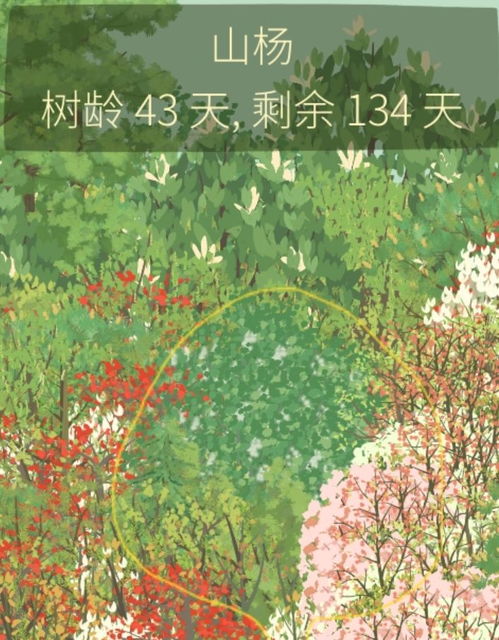 老农种树攻略:太阳花高效种植秘诀大公开 老农种树攻略:太阳花高效种植秘诀大公开