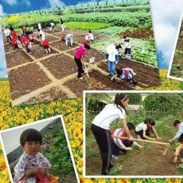 盘点十大经典农场模拟游戏,解锁农业乐趣新境界 盘点十大经典农场模拟游戏,解锁农业乐趣新境界