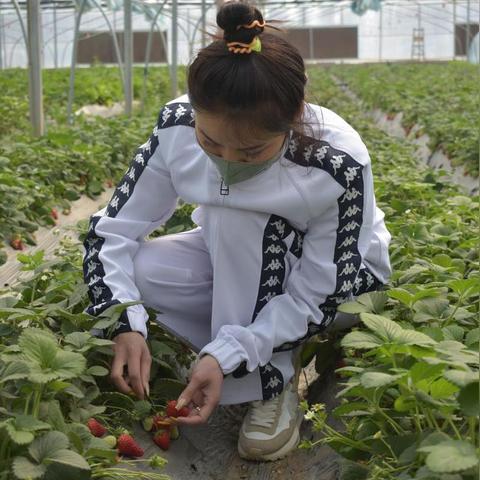 最新游戏推荐:探索鲜艳世界,体验非凡冒险 最新游戏推荐:探索鲜艳世界,体验非凡冒险