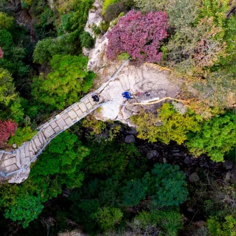 《心动小镇》独家攻略：轻松获取泡泡眼镜！