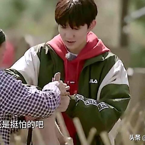 《绝区零》日遇一善攻略：高效委托玩法揭秘