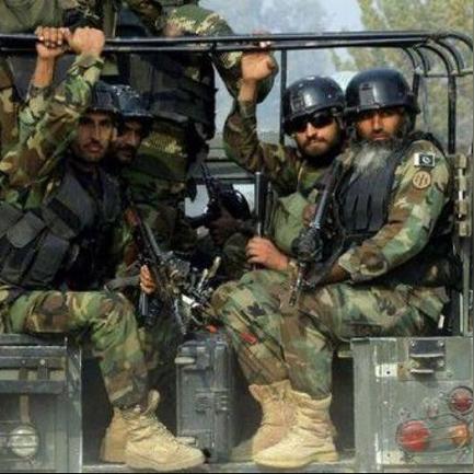 《有机蔬菜恐慌》主机版今春来袭!大战一触即发 《有机蔬菜恐慌》主机版今春来袭!大战一触即发