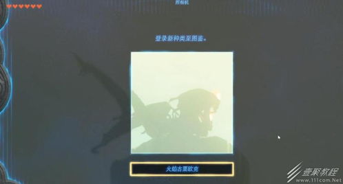 《塞尔达传说》全古栗欧克隐藏位置揭秘!速查攻略大全 《塞尔达传说》全古栗欧克隐藏位置揭秘!速查攻略大全