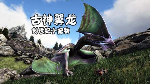 1. 《方舟新宠:神秘翼龙降临,空中霸主等你驯服》
2. 《《方舟》进化新篇章:神秘水生巨兽揭秘,海洋霸主诞生》 1. 《方舟新宠:神秘翼龙降临,空中霸主等你驯服》
2. 《《方舟》进化新篇章:神秘水生巨兽揭秘,海洋霸主诞生》