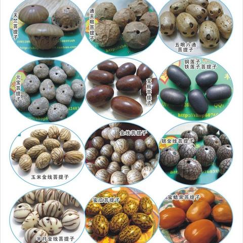 诸神皇冠翡翠树速成秘籍,轻松获取攻略大揭秘 诸神皇冠翡翠树速成秘籍,轻松获取攻略大揭秘