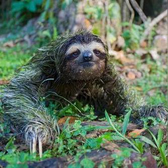 热门永久死亡游戏盘点:探索极致挑战新境界 热门永久死亡游戏盘点:探索极致挑战新境界