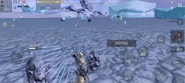 远山渡火箭新坐标，探索妄想山海奥秘之旅