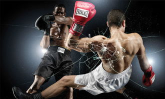 热门拳击游戏盘点:人气爆棚的拳坛佳作推荐 热门拳击游戏盘点:人气爆棚的拳坛佳作推荐