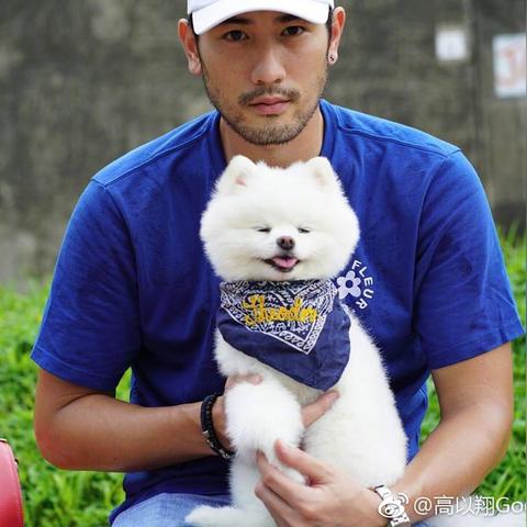 挑战极限!揭秘十大经典高难度游戏巅峰之作 挑战极限!揭秘十大经典高难度游戏巅峰之作