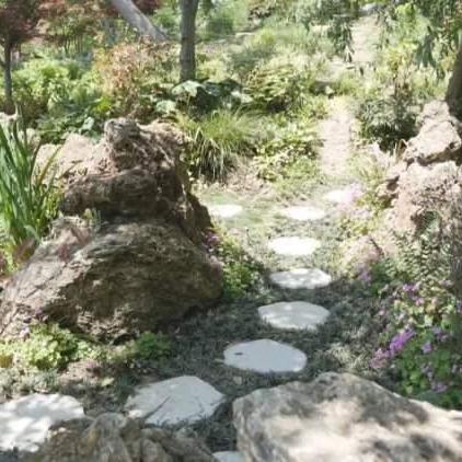 热门恐龙游戏盘点:探寻最佳互动体验 热门恐龙游戏盘点:探寻最佳互动体验