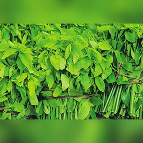 十大经典文字游戏盘点:探寻文字魅力新境界 十大经典文字游戏盘点:探寻文字魅力新境界