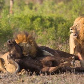十大精选必玩舞蹈游戏，解锁舞蹈新境界