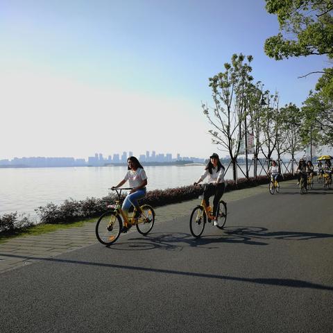 热门推荐：精选骑行巅峰，畅玩人气单车游戏盛宴