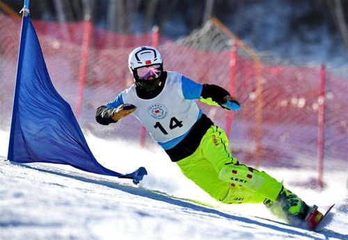 最新单板滑雪游戏盘点:揭秘十大热门排行! 最新单板滑雪游戏盘点:揭秘十大热门排行!