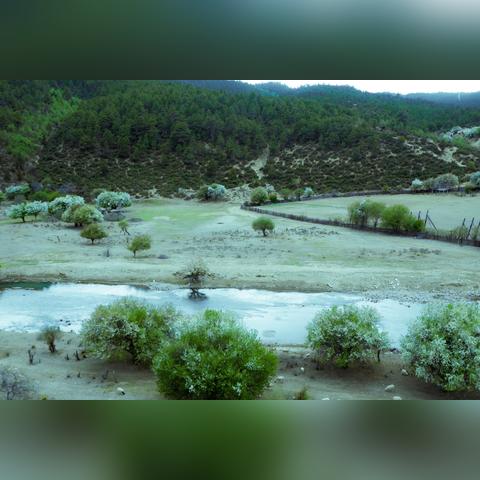 《动物栏桌面牧场》1.5.1新版本大揭秘!升级亮点抢先看 《动物栏桌面牧场》1.5.1新版本大揭秘!升级亮点抢先看