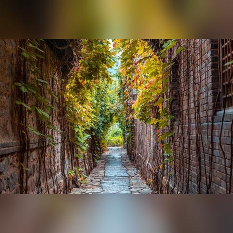 十大精选耐玩自选历险游戏，揭秘最佳沉浸体验攻略