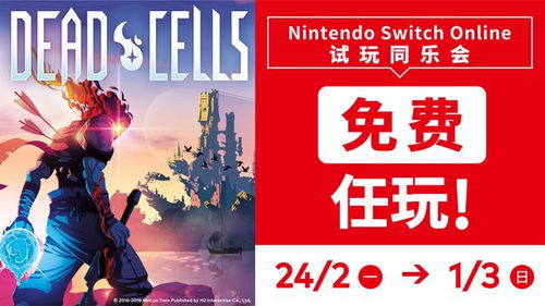 探索轻量Rogue魅力,盘点十大必玩休闲冒险佳作 探索轻量Rogue魅力,盘点十大必玩休闲冒险佳作