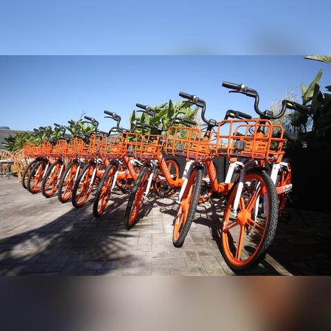 十大经典即时暂停游戏盘点,探索沉浸新体验 十大经典即时暂停游戏盘点,探索沉浸新体验