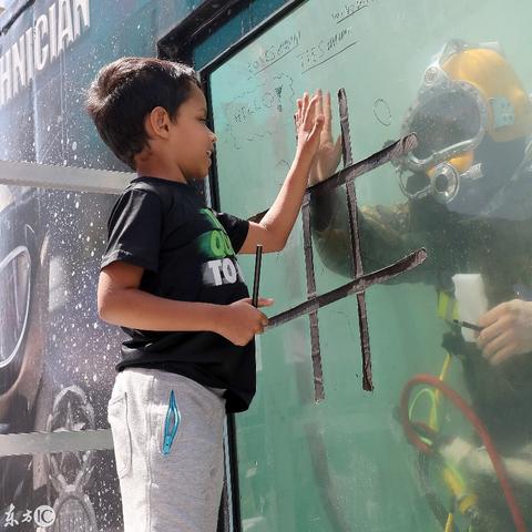 水底探险必备!人气爆棚的水下游戏精选推荐 水底探险必备!人气爆棚的水下游戏精选推荐