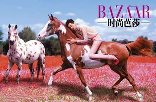 十大精选马匹游戏盘点：揭秘必玩马匹游戏新风尚