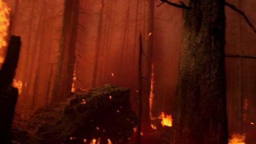 洛夫克拉夫特式惊悚体验，精选游戏盛宴全新启航