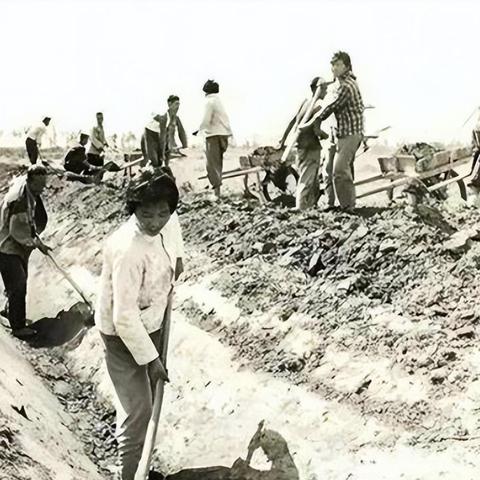 十大精选桌游推荐:揭秘必玩游戏新体验 十大精选桌游推荐:揭秘必玩游戏新体验