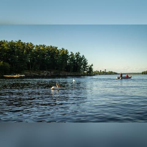 探索美国游戏巅峰之作：揭秘十大必玩佳作精选