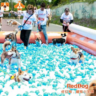 热力盘点：彩色游戏盛宴，热门排行大揭秘！