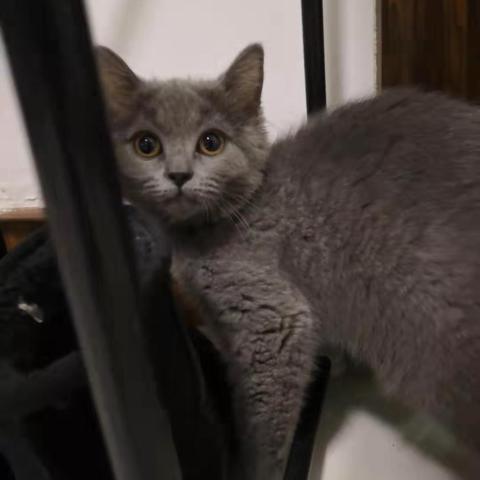 航海奇闻揭秘:路人甲实力深度剖析,价值攻略全解析 航海奇闻揭秘:路人甲实力深度剖析,价值攻略全解析