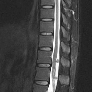 十大必玩全动态影像游戏盘点:沉浸体验新高度推荐 十大必玩全动态影像游戏盘点:沉浸体验新高度推荐