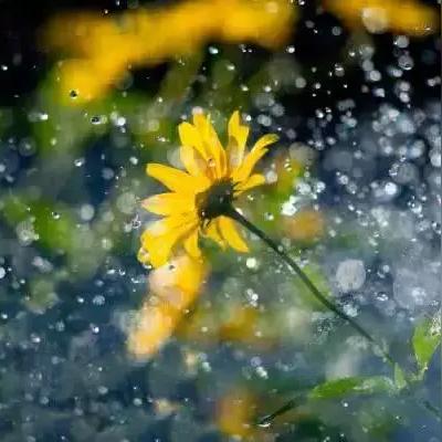 盘点热门选择取向游戏，解锁最佳互动体验