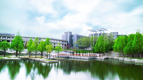 爱情游戏精选:下载热榜,揭秘十大心动之作 爱情游戏精选:下载热榜,揭秘十大心动之作