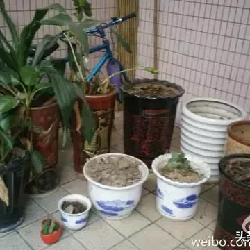 省肝攻略升级版:万象物语蚯蚓幻境高效通关秘籍 省肝攻略升级版:万象物语蚯蚓幻境高效通关秘籍