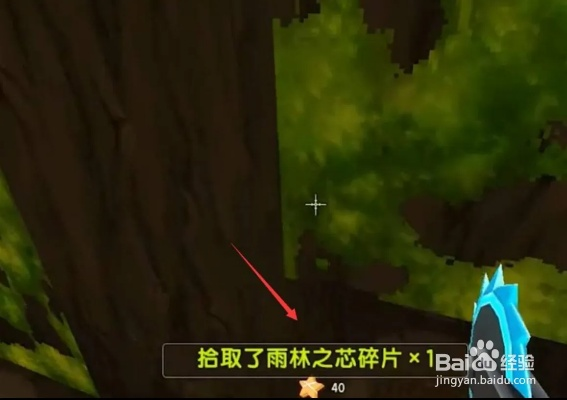 雨林之芯碎片攻略:深度解析新用途价值解析 雨林之芯碎片攻略:深度解析新用途价值解析