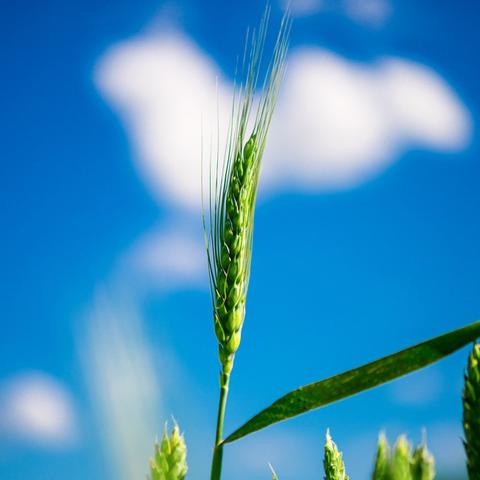 唯美游戏人气巅峰盘点：最热榜单前十揭晓，魅力新体验！