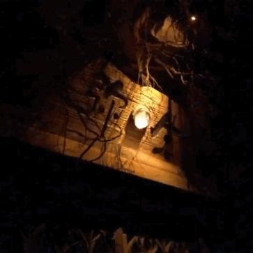 十大丧尸游戏盘点:揭秘沉浸式求生新体验 十大丧尸游戏盘点:揭秘沉浸式求生新体验