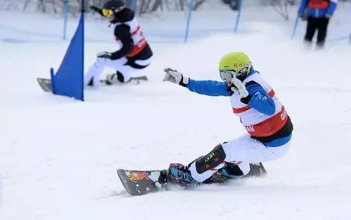 2024年度必玩单板滑雪游戏盘点,体验极致滑雪新境界 2024年度必玩单板滑雪游戏盘点,体验极致滑雪新境界