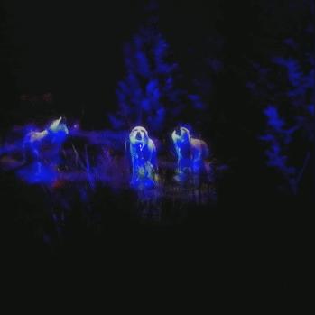 十大精选平台跳跃游戏,揭秘沉浸式畅玩新体验 十大精选平台跳跃游戏,揭秘沉浸式畅玩新体验