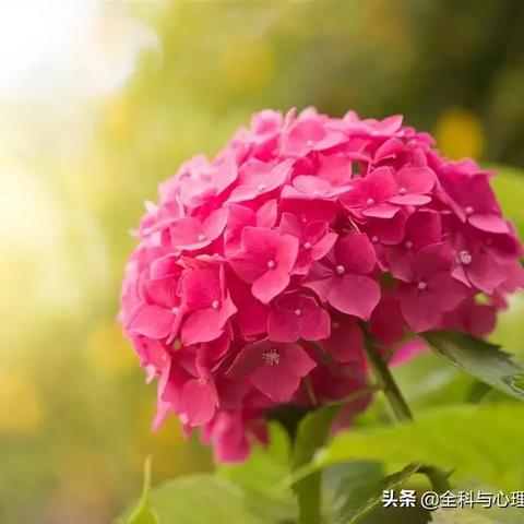 十大必玩哲理游戏，揭秘最佳体验新境界