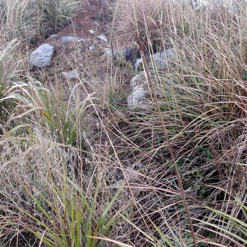 《遗迹2》开荒必备!盘点最适合开荒的职业 《遗迹2》开荒必备!盘点最适合开荒的职业