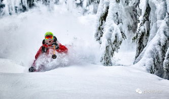 盘点热门单板滑雪游戏,揭秘十大最受欢迎佳作 盘点热门单板滑雪游戏,揭秘十大最受欢迎佳作