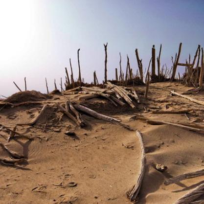 盘点热门物品管理游戏，解锁最新排行榜宝藏秘籍