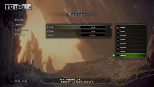 《怪物猎人:世界》50小时深度体验攻略 《怪物猎人:世界》50小时深度体验攻略