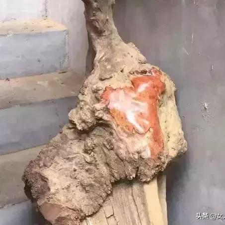 《光与影33号队》云纹刺攻略:高效获取技巧揭秘 《光与影33号队》云纹刺攻略:高效获取技巧揭秘