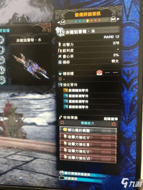 《荒野轻弩速射达人秘籍：高效贯通配装攻略》