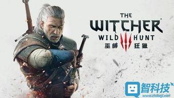 缺陷魅力主角，巫师4续作风格革新