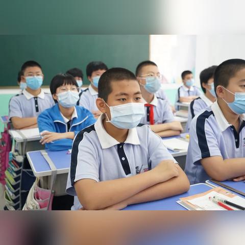 家园守护秘籍:勇士宠物打书高效攻略全解析 家园守护秘籍:勇士宠物打书高效攻略全解析