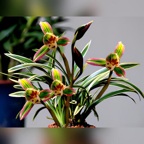 最新盘点：重玩价值高，游戏新宠推荐揭晓