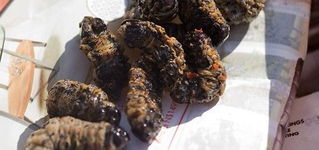 惊!非洲男子机场偷运毛毛虫,狂食15公斤引围观 惊!非洲男子机场偷运毛毛虫,狂食15公斤引围观