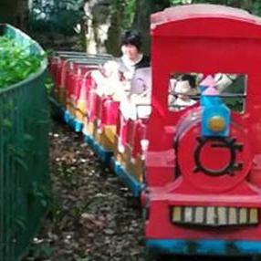 火车游戏人气巅峰,揭秘十大必玩精选攻略 火车游戏人气巅峰,揭秘十大必玩精选攻略